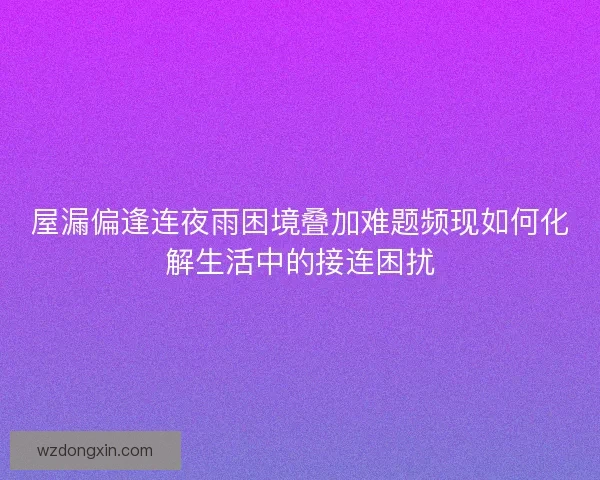 屋漏偏逢连夜雨困境叠加难题频现如何化解生活中的接连困扰