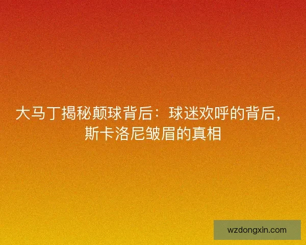 大马丁揭秘颠球背后：球迷欢呼的背后，斯卡洛尼皱眉的真相