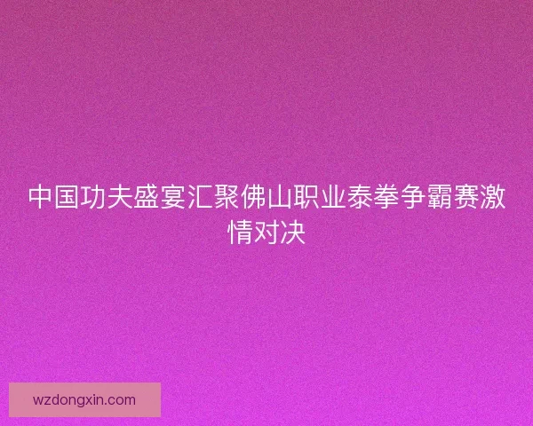 中国功夫盛宴汇聚佛山职业泰拳争霸赛激情对决